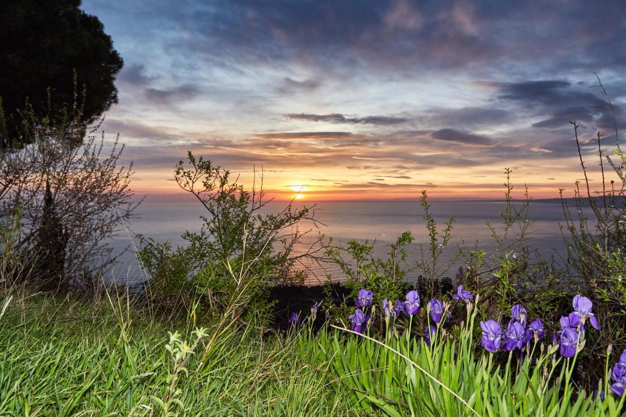Best Vasto Extérieur photo